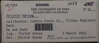 Image Associated With the Occurence